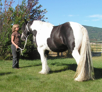 Rear view of Peggy